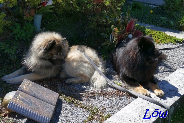 20.4.2025 - Grabbesuch